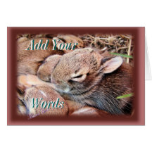 Groupe de Lapin-toute occasion-personnaliser Cartes De Vœux