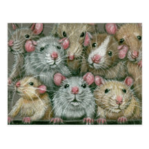 Groupe de rats à la carte postale de la Réunion de