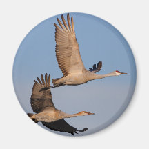 grues magnets pour réfrigérateur