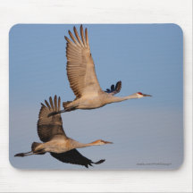 Grues Tapis De Souris