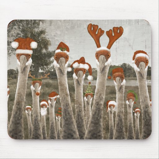 Grues vintages de Père Noël Tapis De Souris
