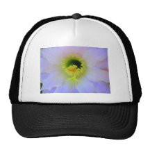 Guapa del Campo Casquettes
