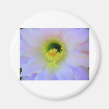 Guapa del Campo Magnets Pour Réfrigérateur