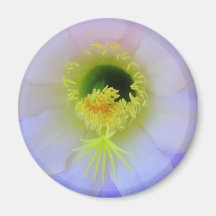 Guapa del Campo Magnets Pour Réfrigérateur