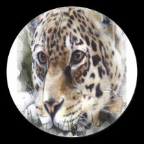 Guépard autocollants