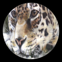 Guépard autocollants