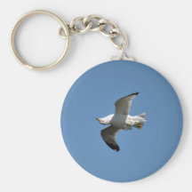 Gull Flying Upside Down Funny Wildlife Photography Key Chain