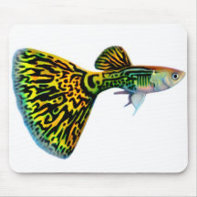 Guppy masculine Mousepad de peau de serpent de cob Tapis De Souris