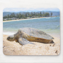 Haleiwa Honu le jour passé Tapis De Souris