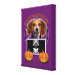 Devant/Droite