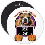 Halloween - juste un Lil éffrayant - bouledogue Badges Avec Agrafe
