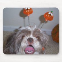 Halloween Shih Tzu Mousepad Tapis De Souris
