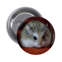 Hamster mignon sur un bouton - Hammy Pin's Avec Agrafe