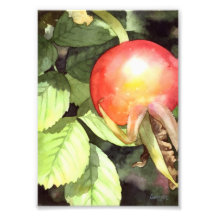 Hanche rose - copie florale d'art photographe