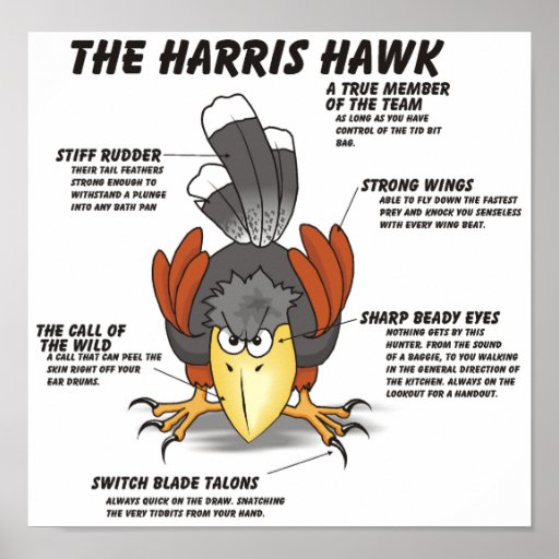 Harris colportent la bande dessinée posters