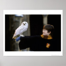 Harry et Hedwig 3 Affiche