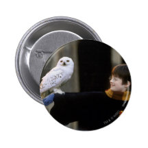 Harry et Hedwig 3 Badges Avec Agrafe