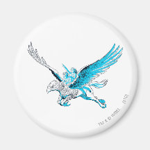 Harry et Hermione sur un Hippogriff Aimants Pour Réfrigérateur
