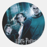 Harry Potter Ron Hermione dans la forêt Autocollants Ronds