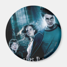 Harry Potter Ron Hermione dans la forêt Magnets Pour Réfrigérateur