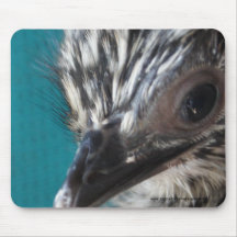 Hatchling Mousepad d'émeu Tapis De Souris