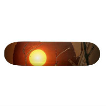 hausse ci-dessus skateboards cutomisables