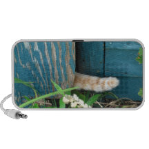 Haut-parleur de ~ de queue de chat