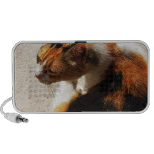 Haut-parleur tricolore de chat
