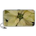 Haut-parleurs blancs de poinsettia