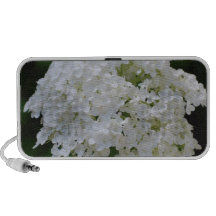 Haut-parleurs blancs d'hortensia