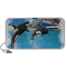 Haut-parleurs de baleines d'orque