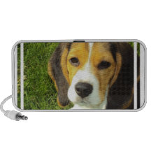 Haut-parleurs de chien de beagle