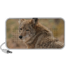 Haut-parleurs de coyote