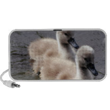 Haut-parleurs de cygnes de bébé