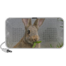 Haut-parleurs de lapin de lapin
