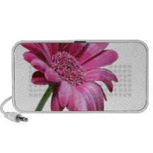 Haut-parleurs de marguerite de Gerbera