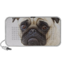 Haut-parleurs de Portable de chien de carlin