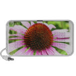Haut-parleurs de Portable de fleur d'echinacée
