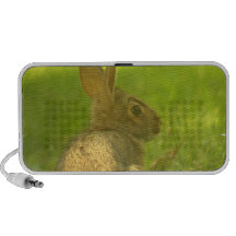 Haut-parleurs de Portable de lapin