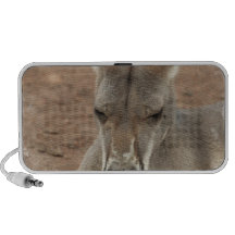 Haut-parleurs de repos de Portable de kangourou