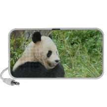 Haut-parleurs d'ours panda