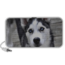 Haut-parleurs enroués de Portable de chiot