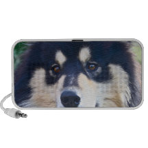 Haut-parleurs finlandais doux de Lapphund