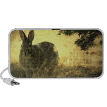 Haut-parleurs sauvages de lapin