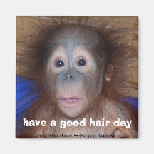 Have a Good Hair Day cute red haired baby Magnet
