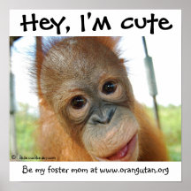 Hé, je suis orang-outan mignon de bébé poster
