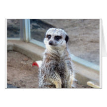 Hé qui vous pensent votre regarder ? carte de vœux