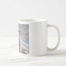 Hé qui vous pensent votre regarder ? tasse à café
