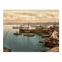 Hébergez par le clair de lune, I, le cru P d'Alger Carte Postale