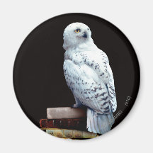 Hedwig sur des livres magnets pour réfrigérateur